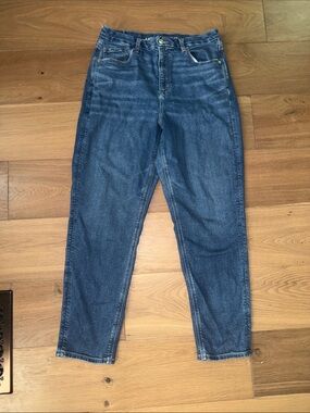 🦅American Eagle Curvy Mom Jean, Size 14Long